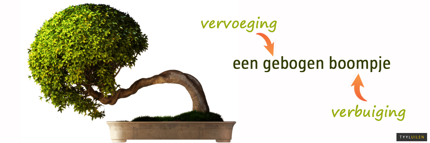 verbuiging en vervoeging